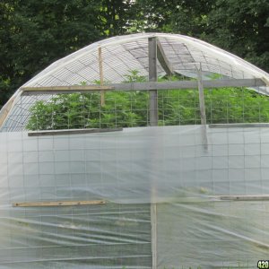 in groung greenhouse