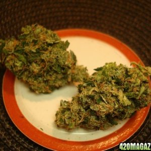 High Quality Medical Marijuana,OIL & SEEDS Available 4 Cheap