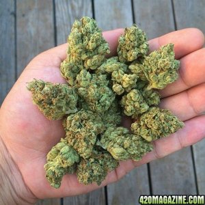 High Quality Medical Marijuana,OIL & SEEDS Available 4 Cheap