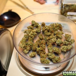 High Quality Medical Marijuana,OIL & SEEDS Available 4 Cheap