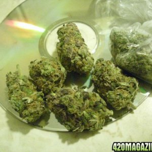 High Quality Medical Marijuana,OIL & SEEDS Available 4 Cheap