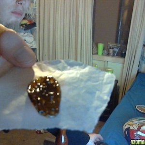 honycombe shatter