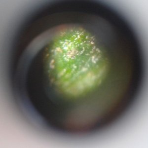 Eye through th scope