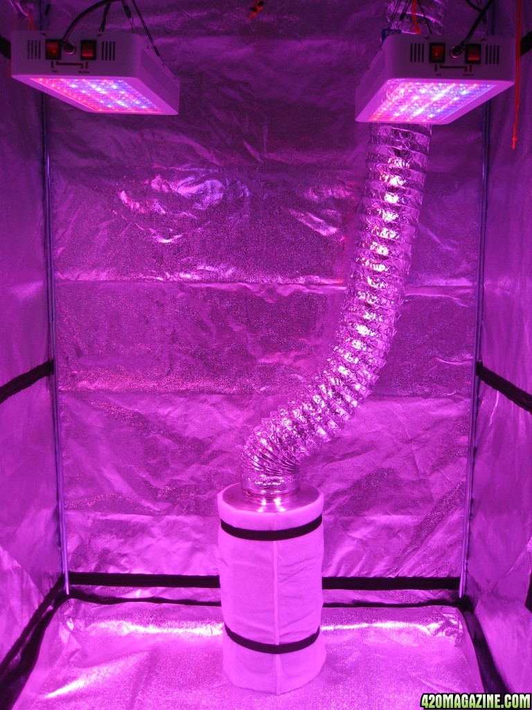 0185_Flower_Tent_Veg