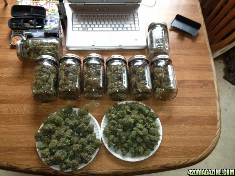 042_Bud_Stash