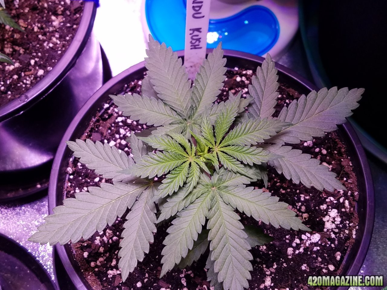 050718 Hindu Kush Day 14 2.jpg