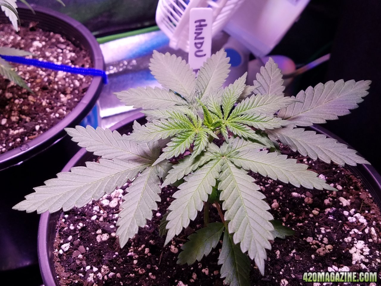 050718 Hindu Kush Day 14 3.jpg