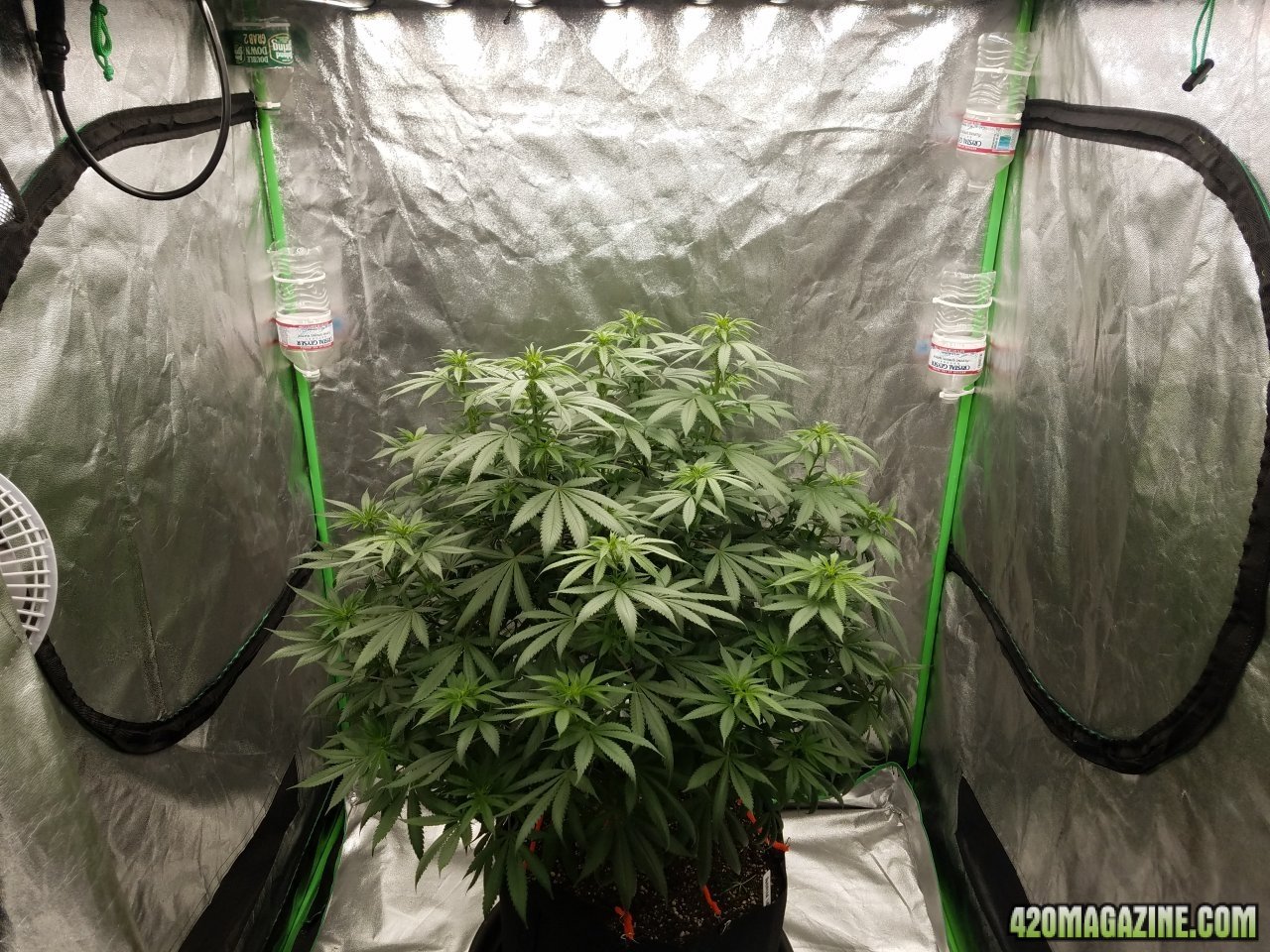 052118 Northern Lights Flip Day 3 11.jpg