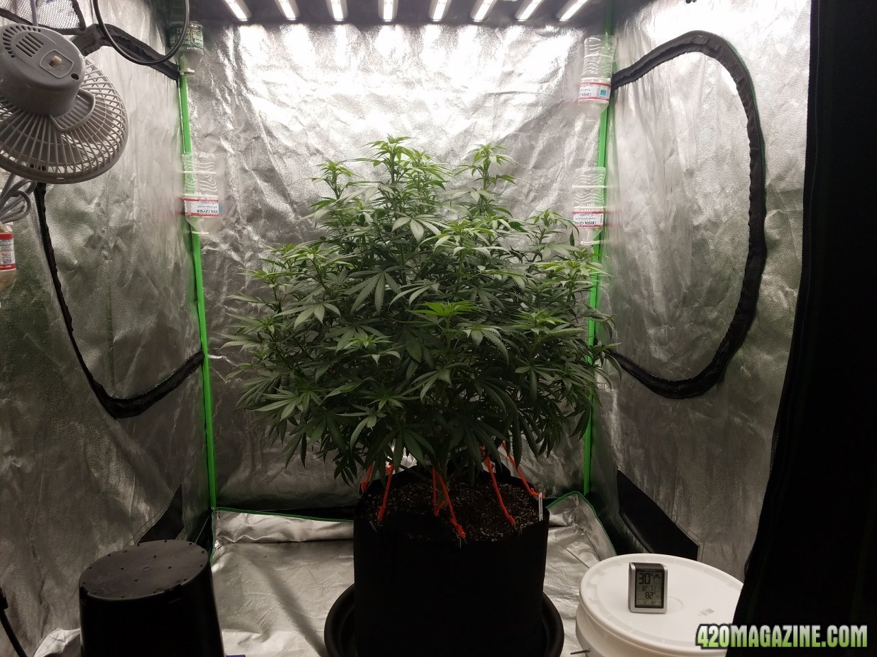 052118 Northern Lights Flip Day 3 3.jpg