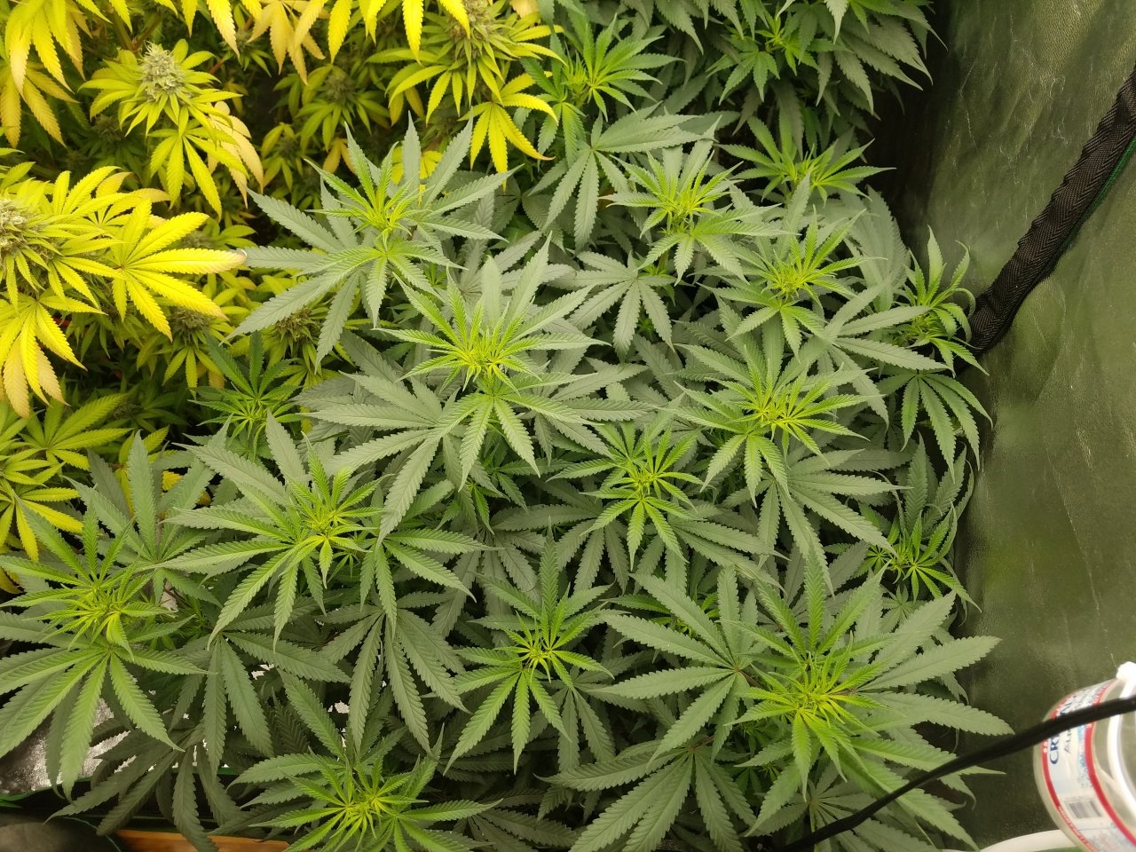 070518 Hindu Kush Flip Day 5 2.jpg