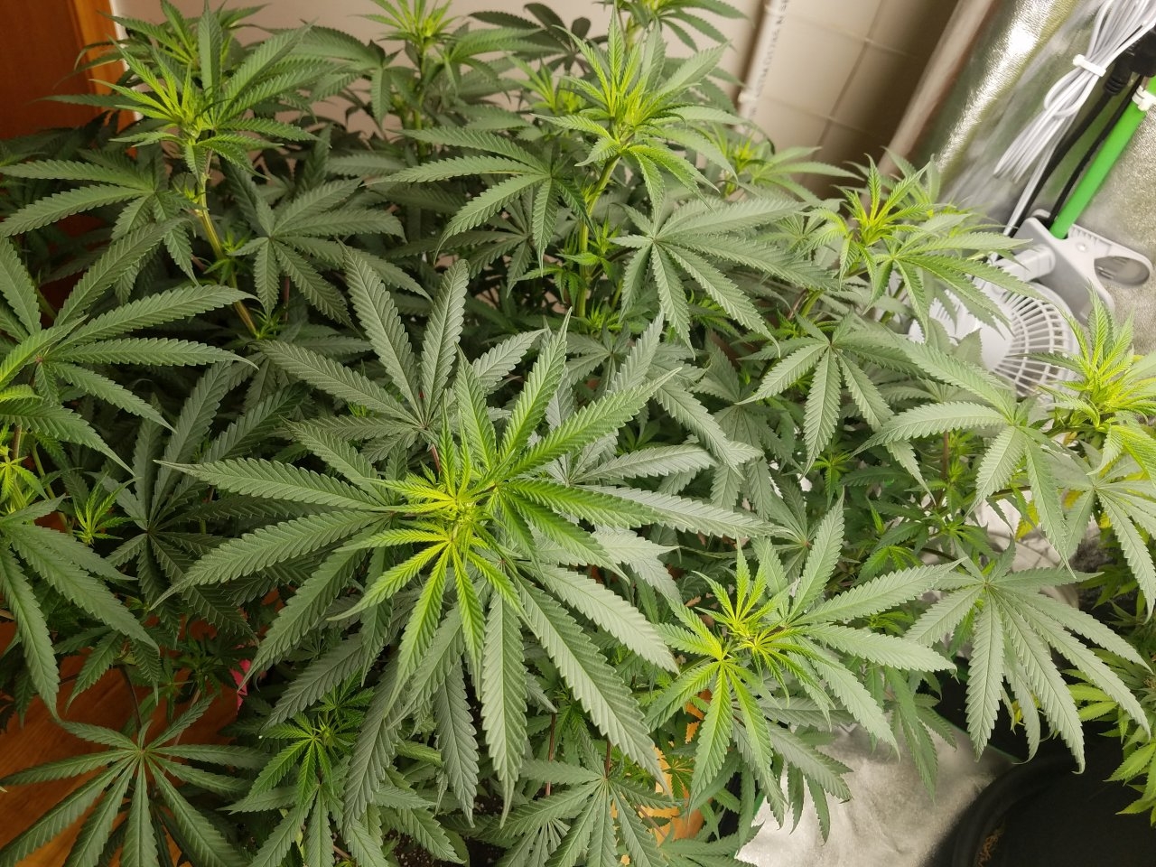 070518 Hindu Kush Flip Day 5 4.jpg