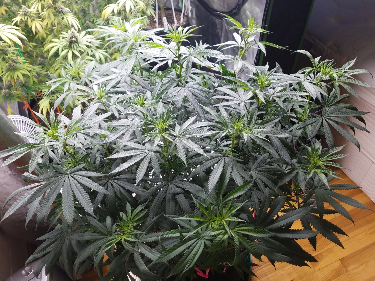 070518 Hindu Kush Flip Day 5 7.jpg