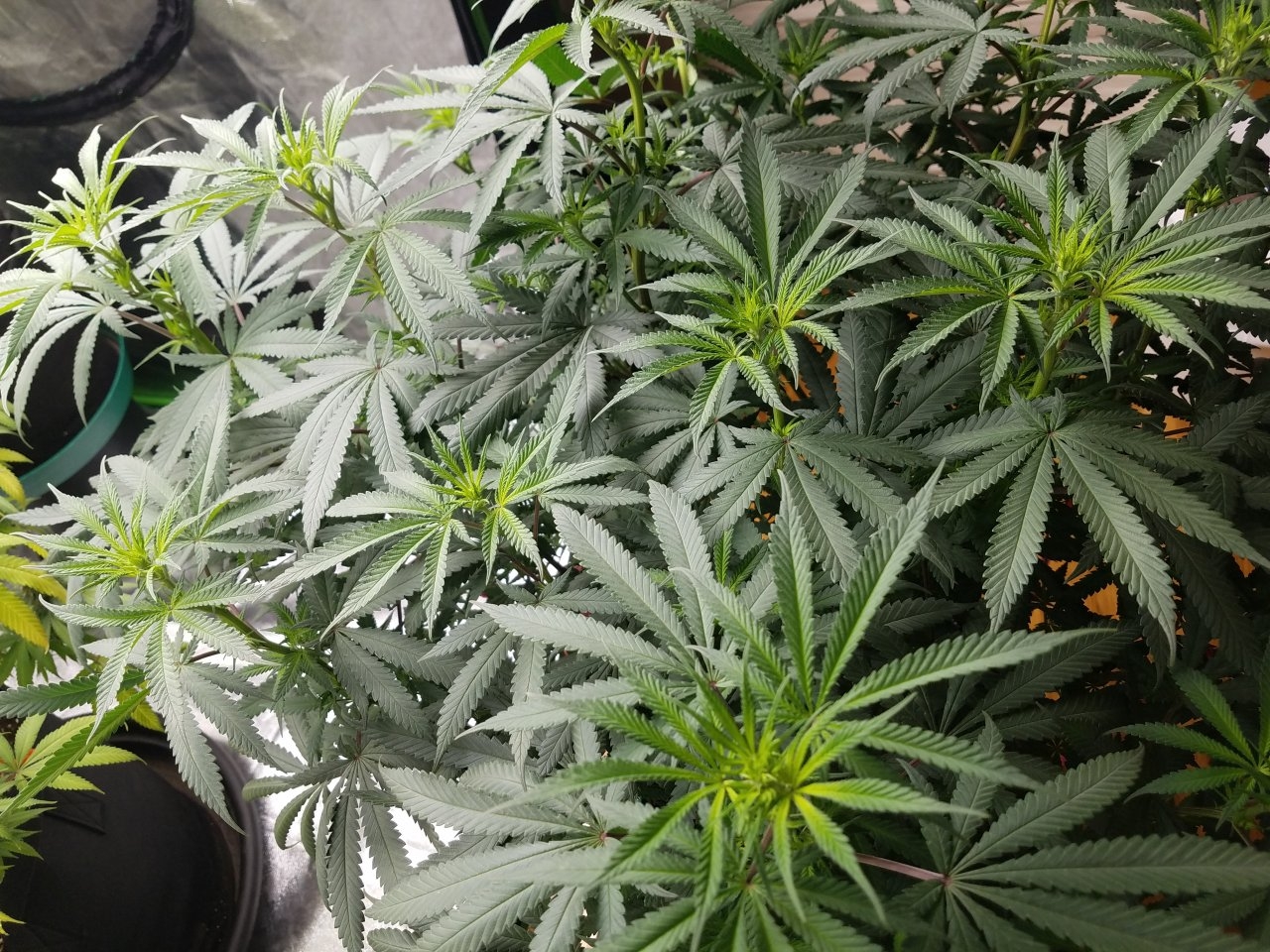 070518 Hindu Kush Flip Day 5 8.jpg