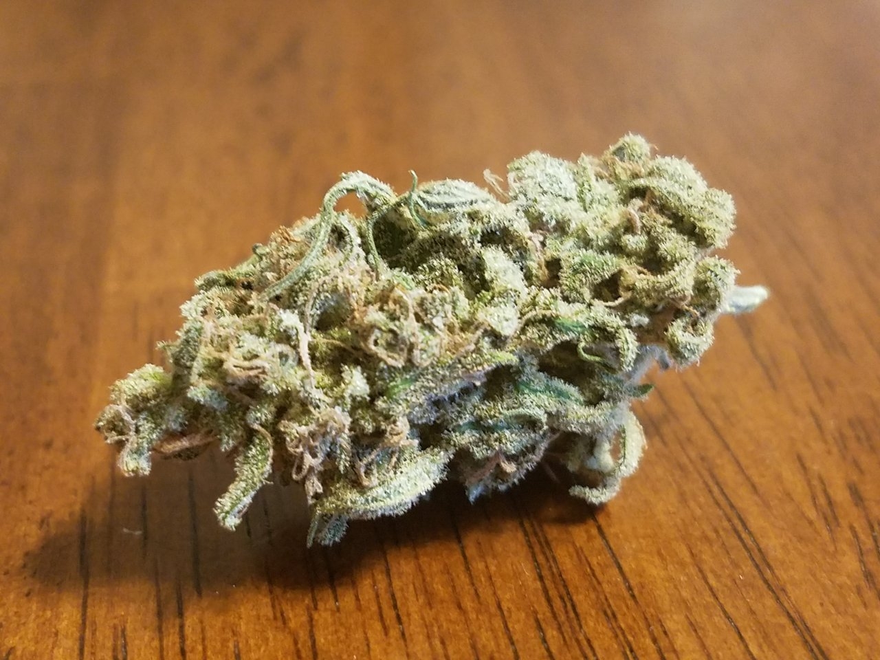 091418 Hindu Kush Nug 1.jpg