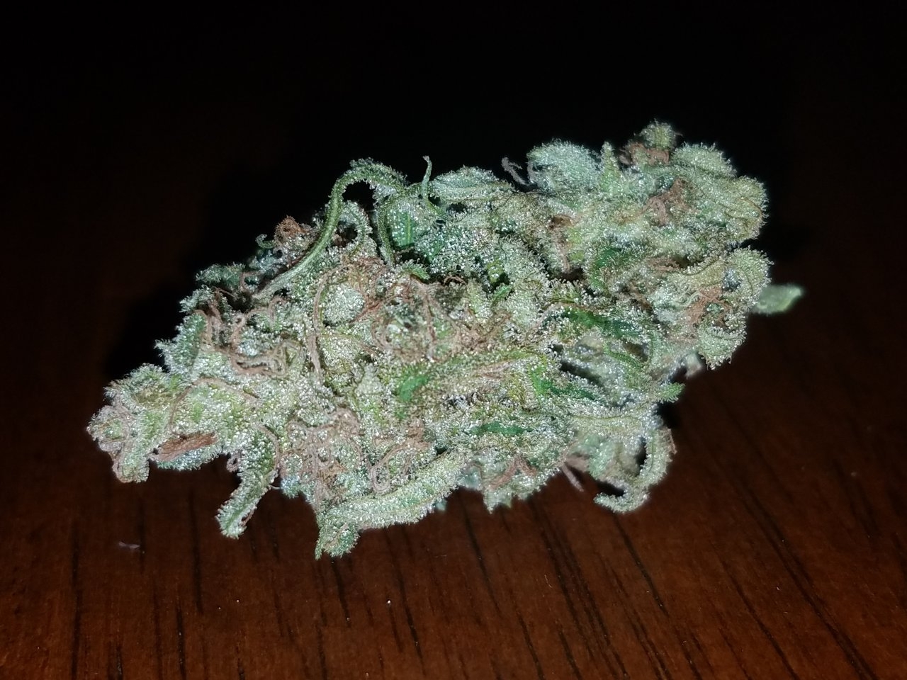 091418 Hindu Kush Nug 2.jpg