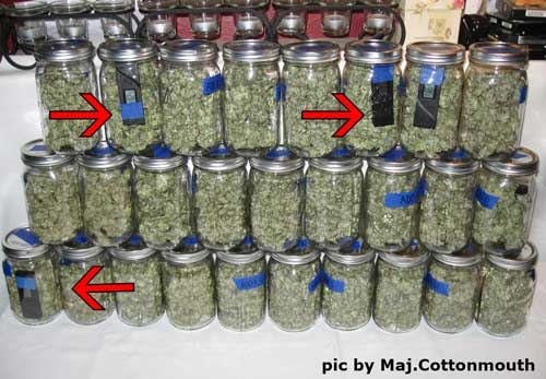 0_buds-in-jars-with-caliber-iii-hygrometers-sm.jpg