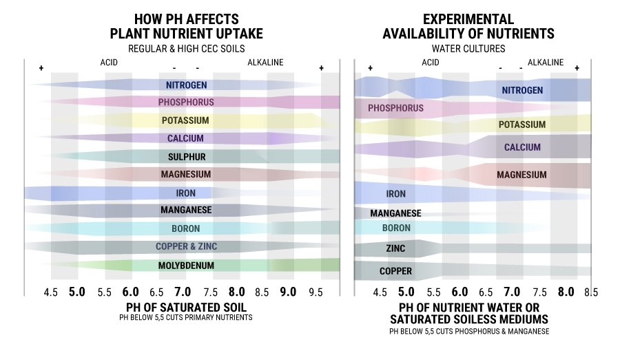 0_PH-GRAPHIC-COLORSnew_1.jpg