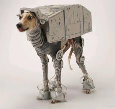 0_starwarsdog.jpg