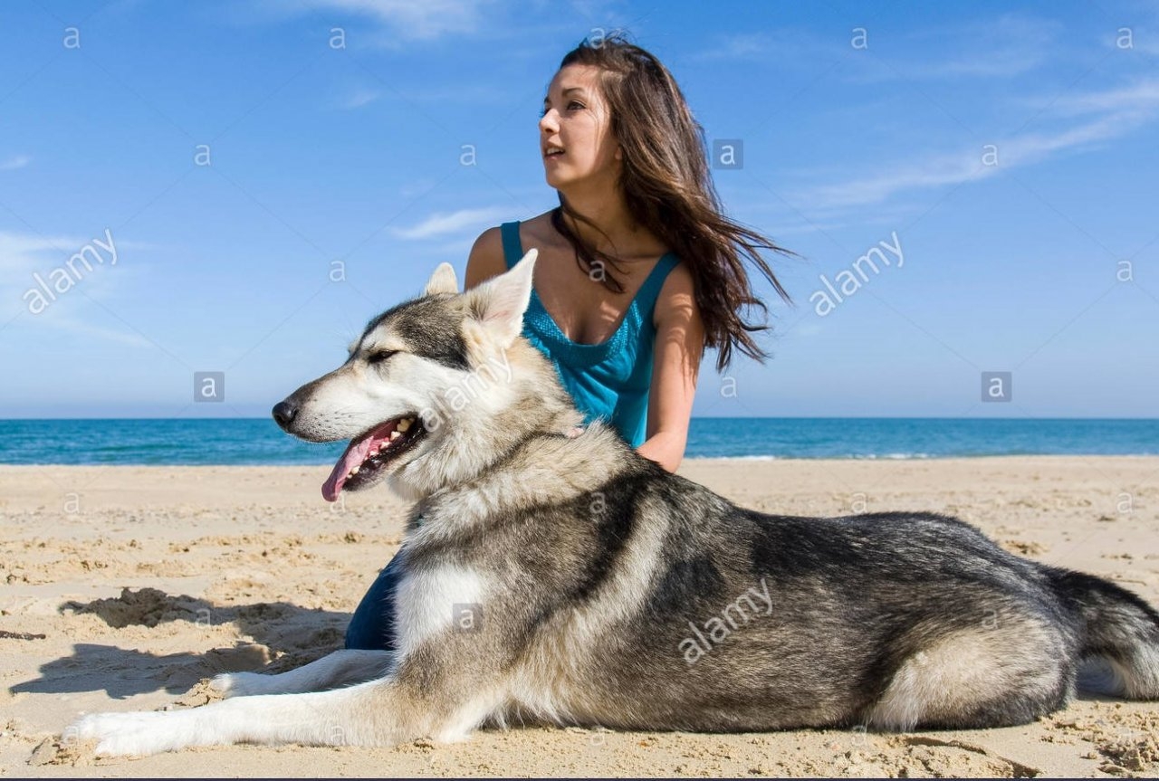 0_teenage-girl-sitting-on-beach-with-alaskan-malamute-dog-MC7YBJ (2).jpg