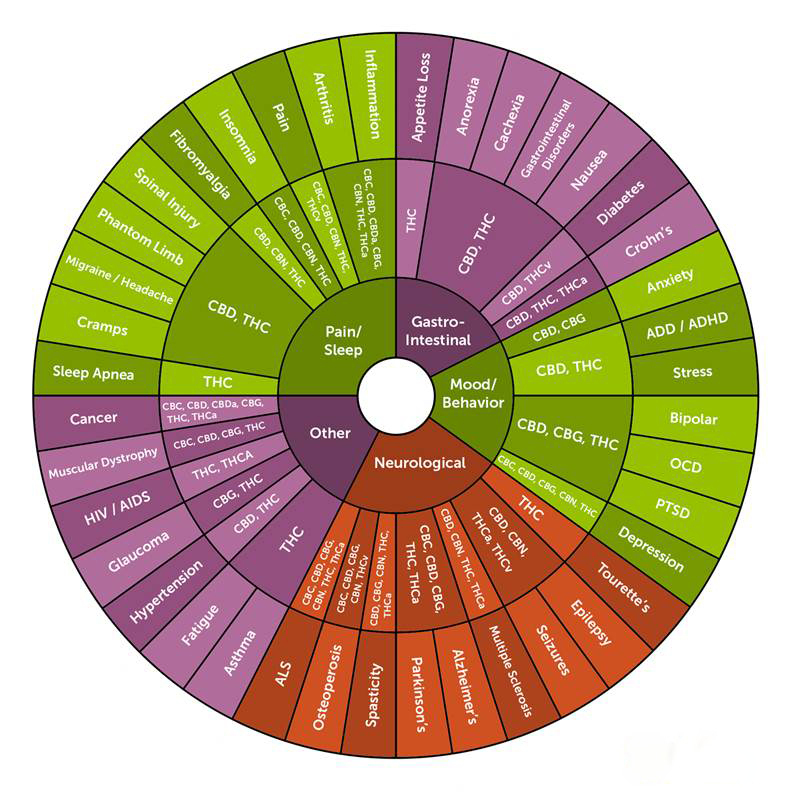 0kDQdUNqR0GCXCMdfgbs_leafly-cannabinoid-wheel-large