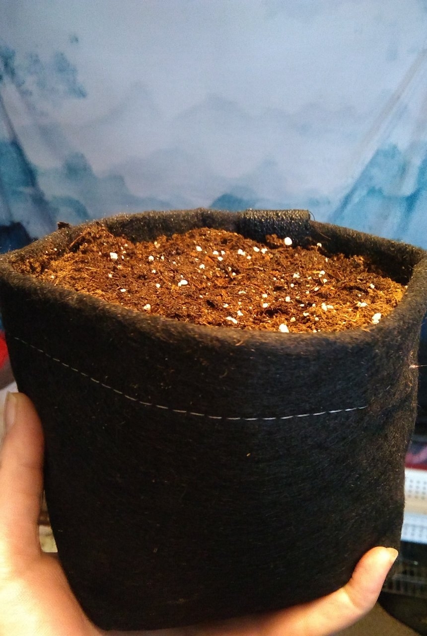 1/2 gallon Geopot