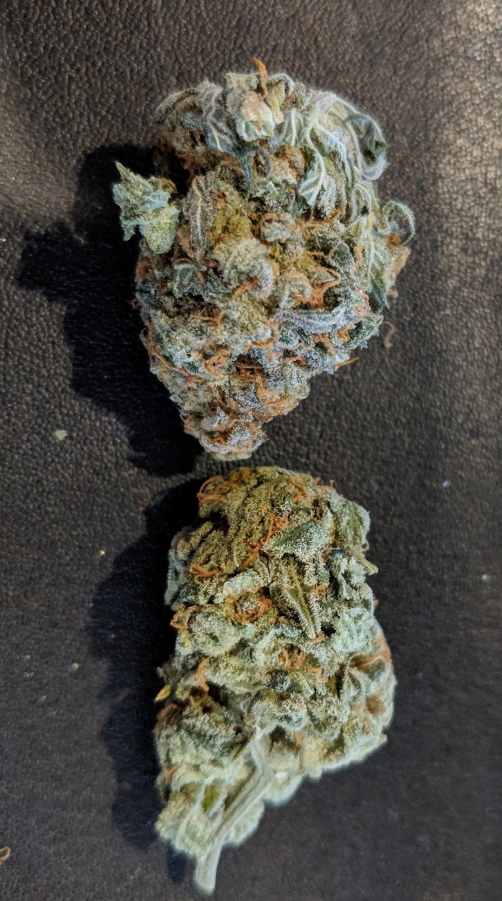 10/11/18 OG Haze SMK REP