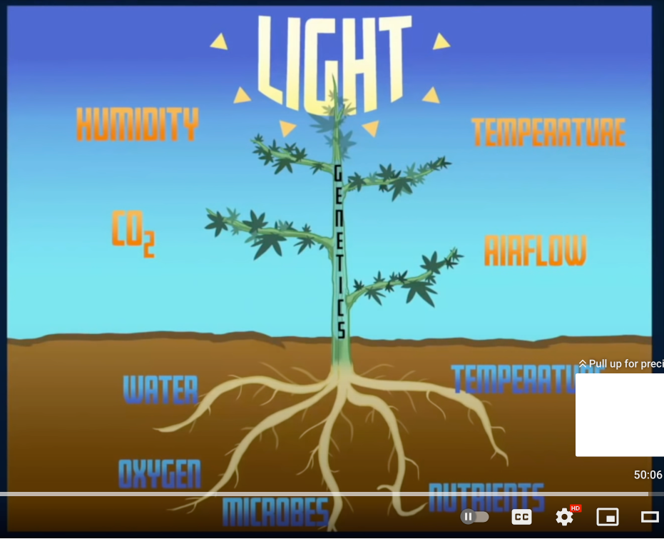 10 Parameters of Growth.png