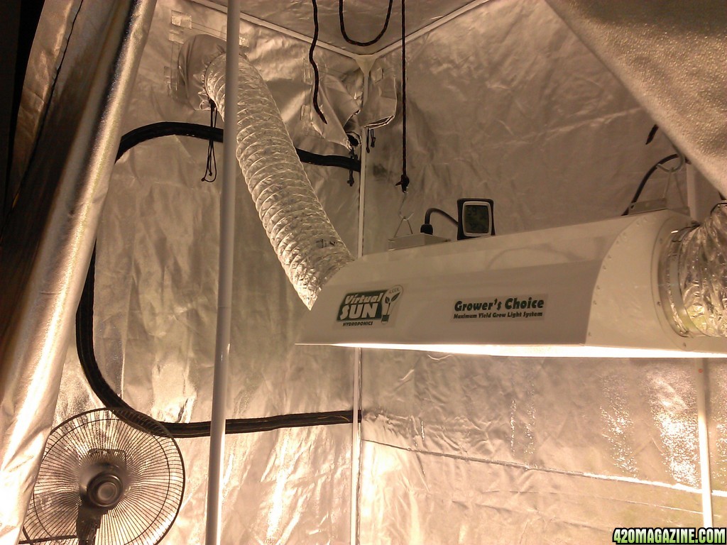 1000 watt mh 4x8x7 tent simple dwc