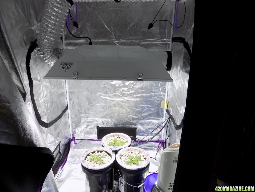 1000w MH/HPS Air-cooled GIANT Hood, Early Veg