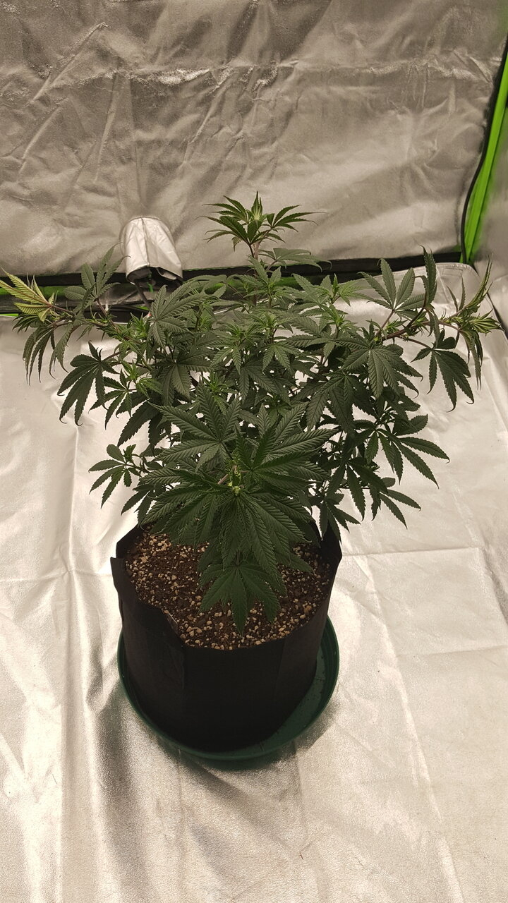 102119 Hindu Kush Flip Day 5 1.jpg