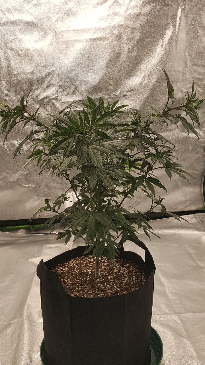 102119 Hindu Kush Flip Day 5 2.jpg