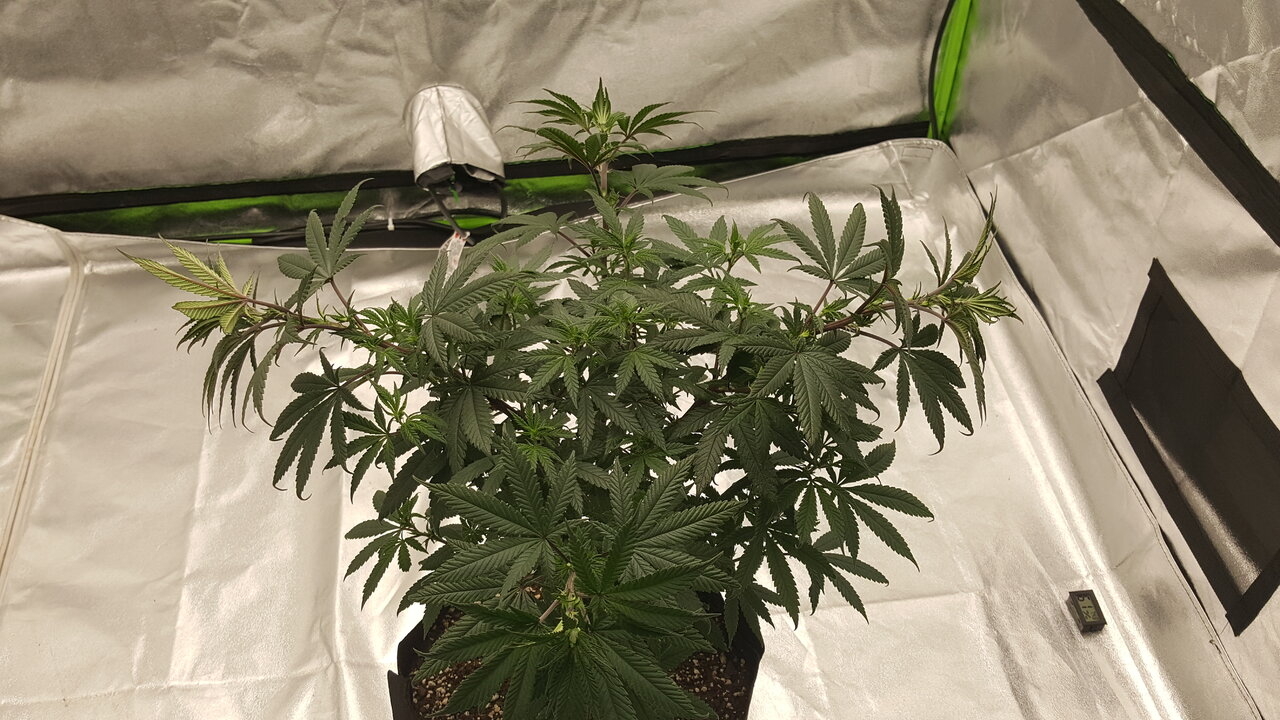 102119 Hindu Kush Flip Day 5 3.jpg