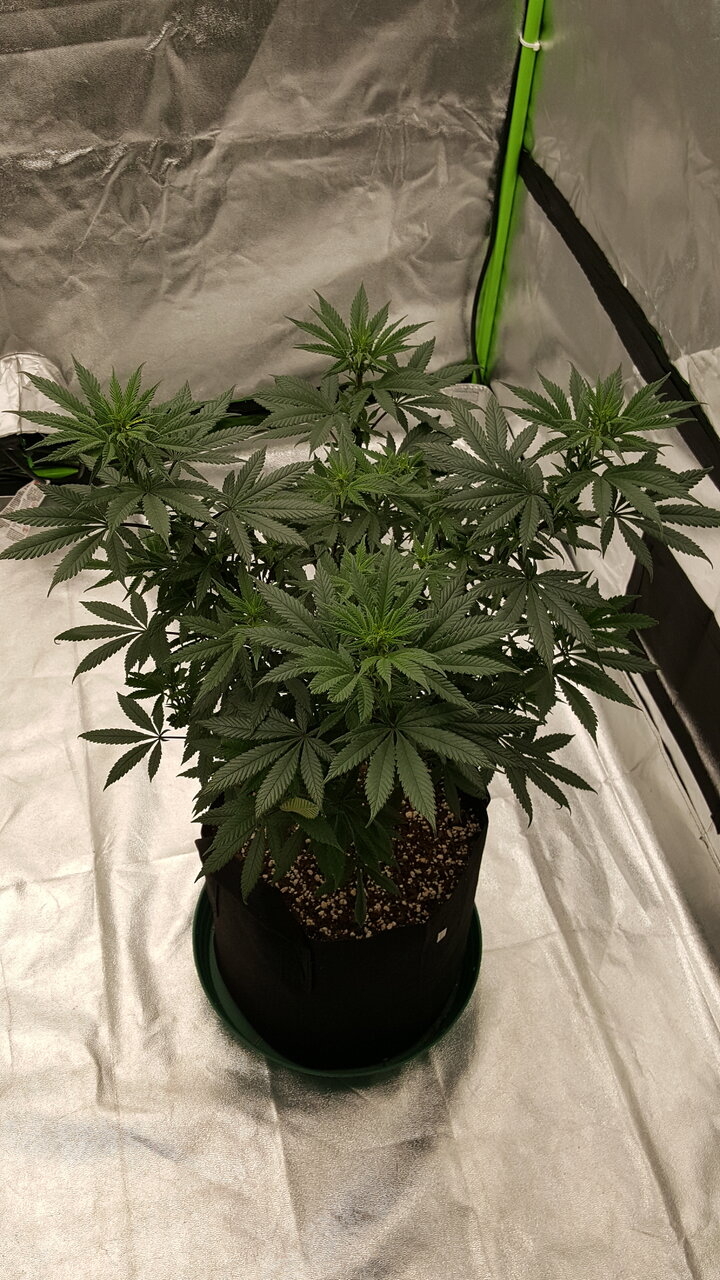 102819 Hindu Kush Flip Day 12 1.jpg