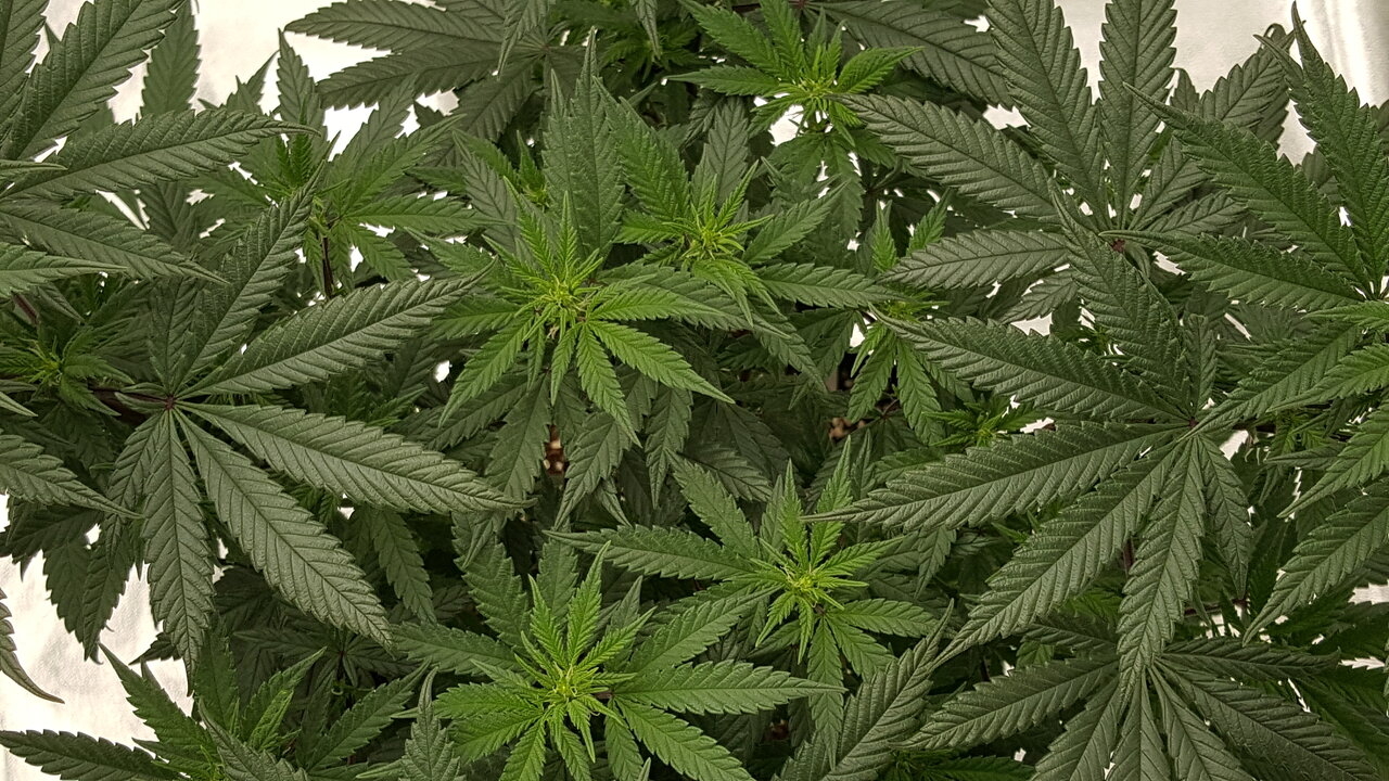 102819 Hindu Kush Flip Day 12 10.jpg