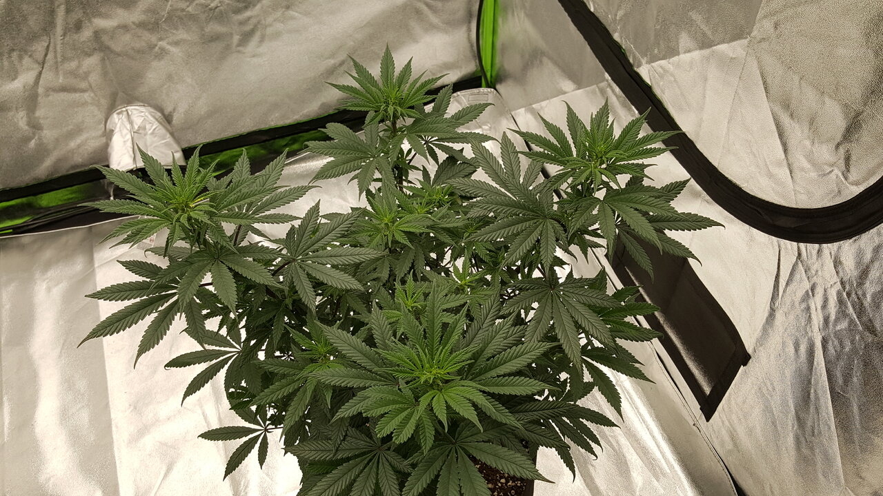 102819 Hindu Kush Flip Day 12 2.jpg