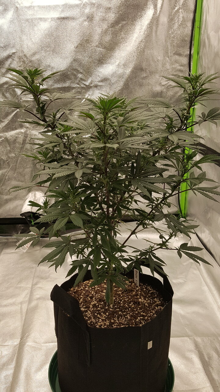 102819 Hindu Kush Flip Day 12 3.jpg