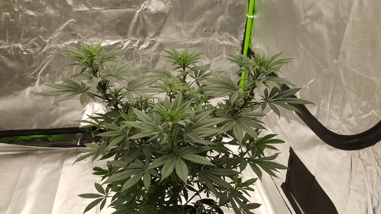 102819 Hindu Kush Flip Day 12 4.jpg