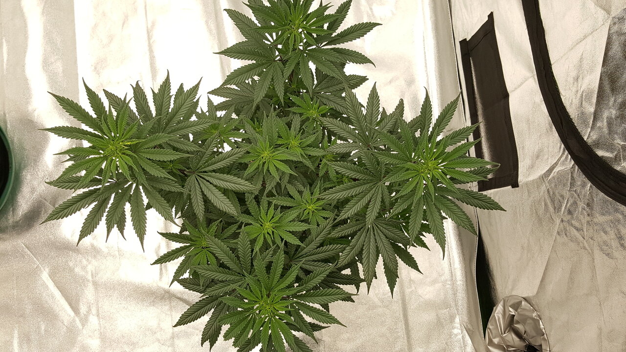 102819 Hindu Kush Flip Day 12 5.jpg