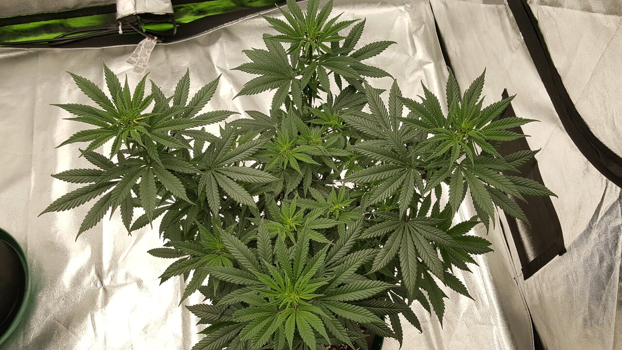 102819 Hindu Kush Flip Day 12 6.jpg