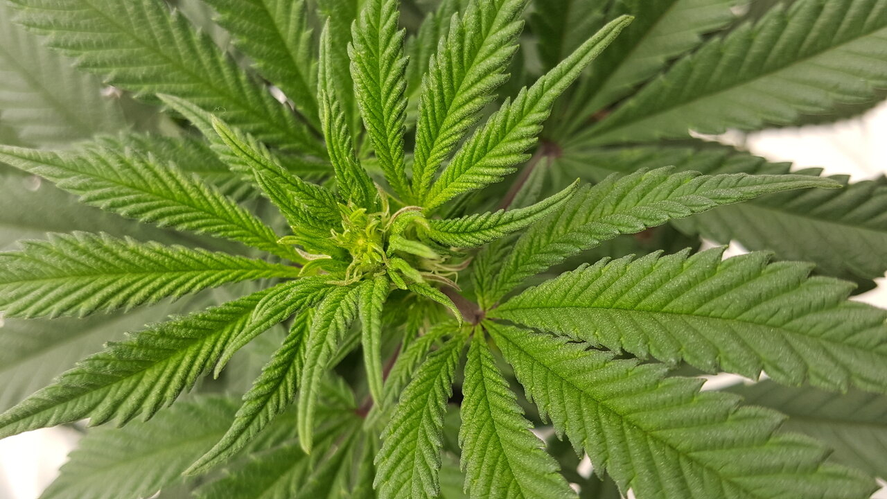 102819 Hindu Kush Flip Day 12 8.jpg