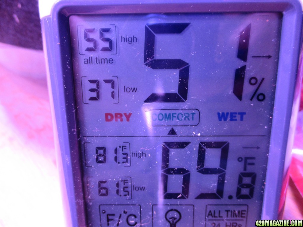 11.18.17 grow pics