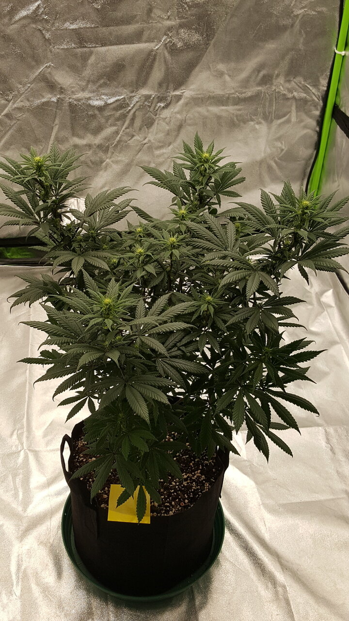 110319 Hindu Kush Flip Day 18 1.jpg