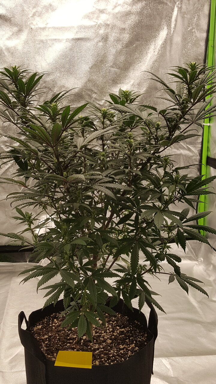 110319 Hindu Kush Flip Day 18 2.jpg