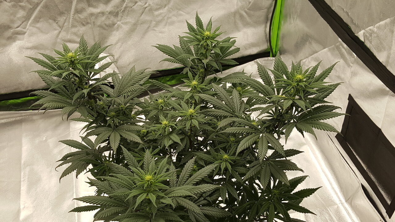 110319 Hindu Kush Flip Day 18 3.jpg