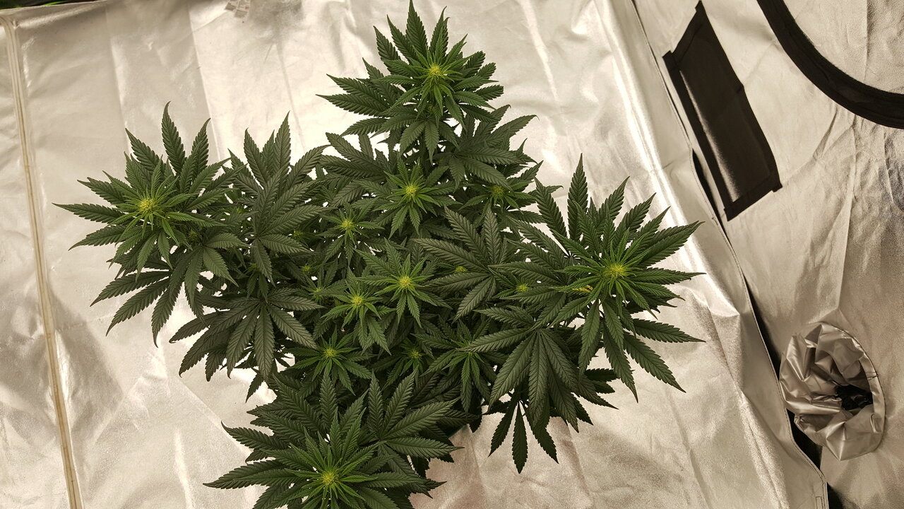 110319 Hindu Kush Flip Day 18 4.jpg