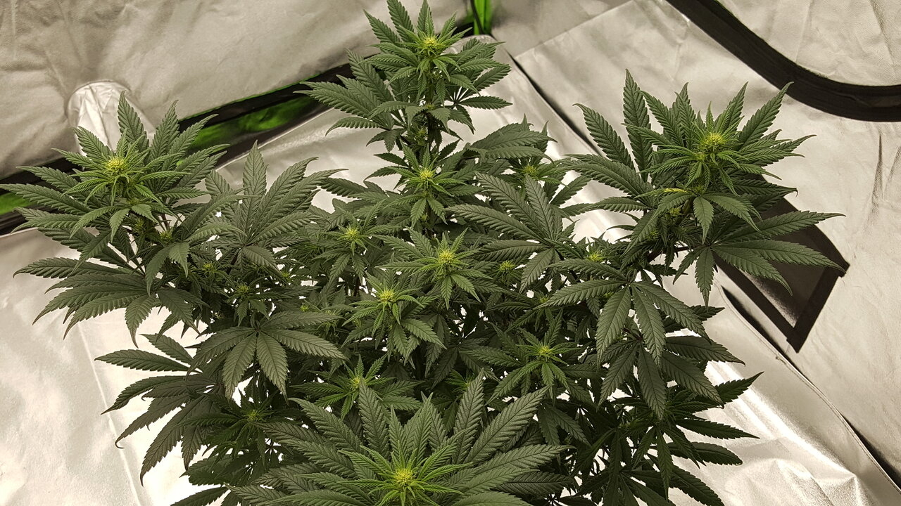 110319 Hindu Kush Flip Day 18 5.jpg