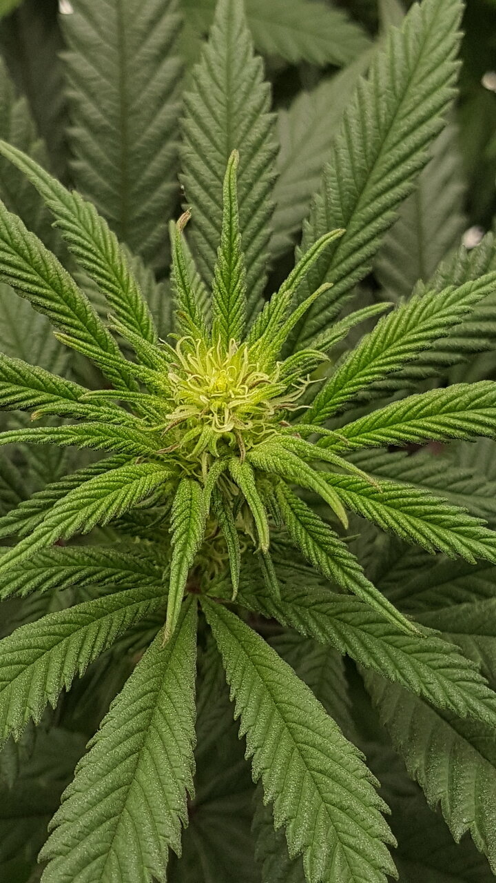 110319 Hindu Kush Flip Day 18 6.jpg