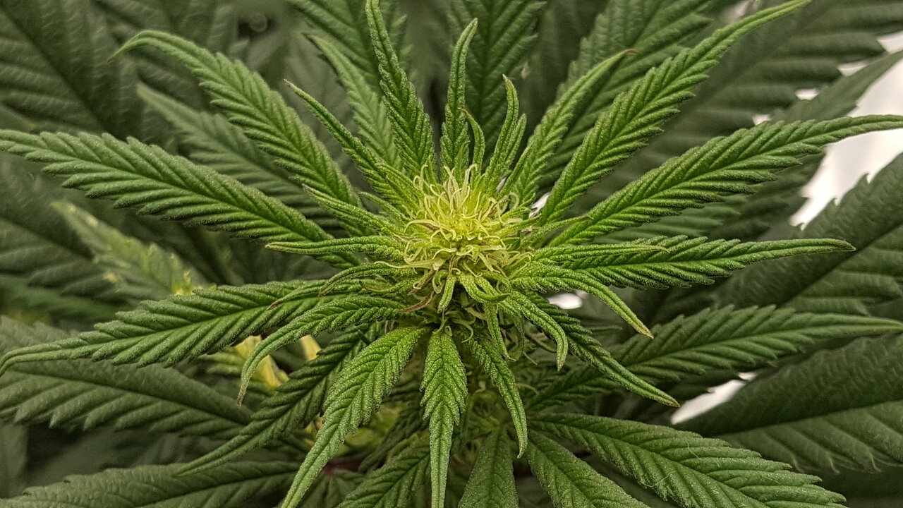 110319 Hindu Kush Flip Day 18 8.jpg