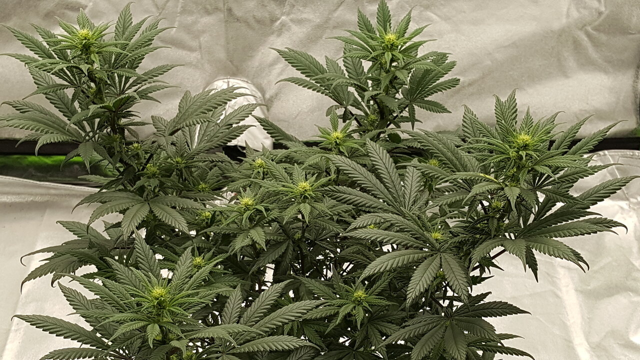 110319 Hindu Kush Flip Day 18 9.jpg