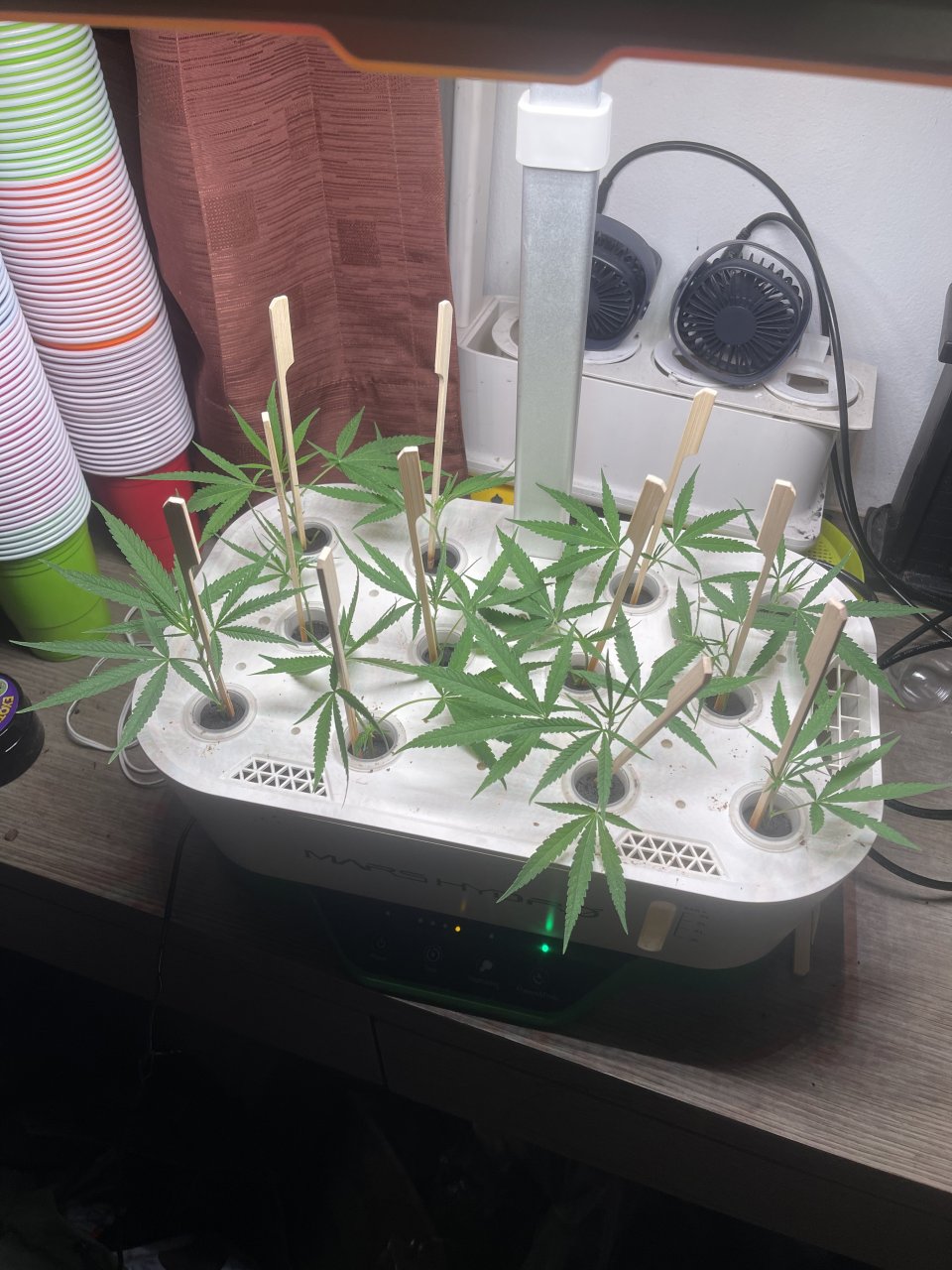 12 Green GG Clones Sitting in a Mars Hydroline.jpeg